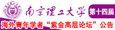 91内射大奶少妇在线看南京理工大学第十四届海外青年学者紫金论坛诚邀海内外英才！